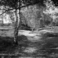 Bild: 10_202408081804480
