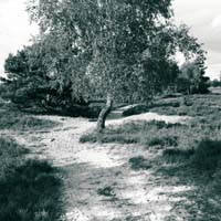 Bild: 10_202408081805380