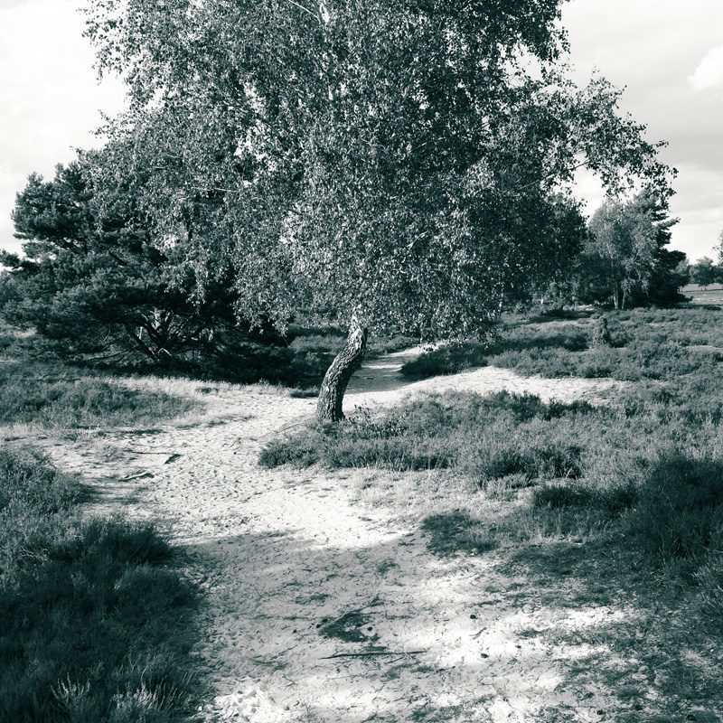 Bild: 10_202408081805380