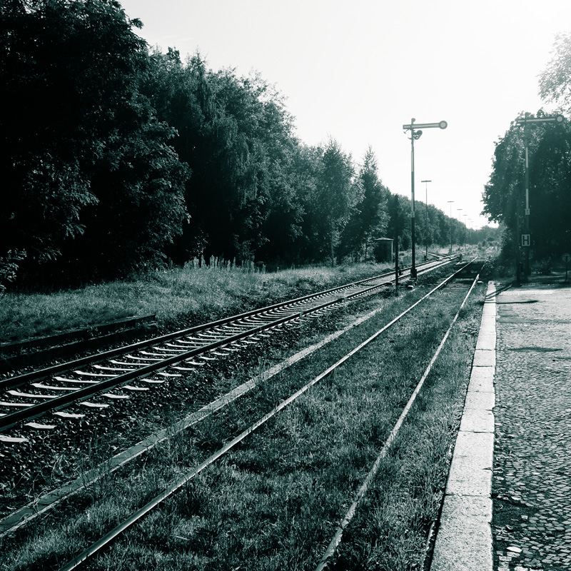 Bild: 10_202408100833260