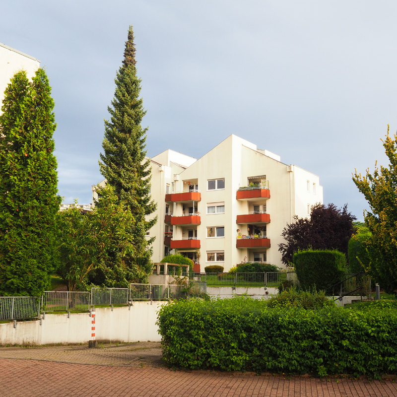 Bild: 10_202408140805100