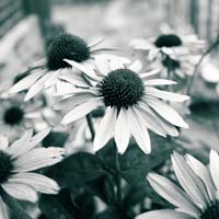 Bild: 10_202409061822380