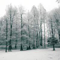 Bild: 10_202501191414180