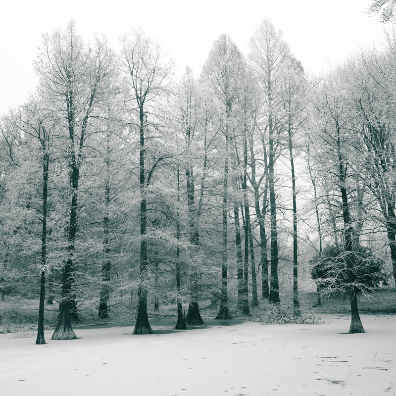 Bild: 10_202501191414180