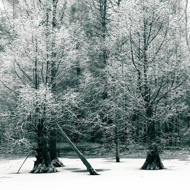 Bild: 10_202501191414440