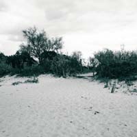 Bild: 10_202510011506300