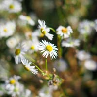 Bild: 10_202511051259571