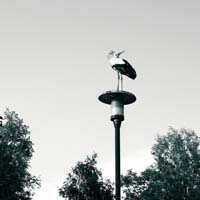 Bild: 10_202608041825130
