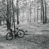 Bild: 10_202610161543030