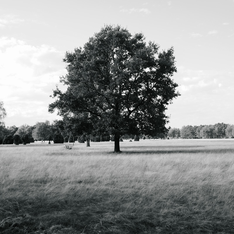 Bild: 10_202610161552480