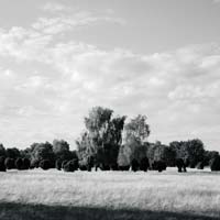 Bild: 10_202610161553120
