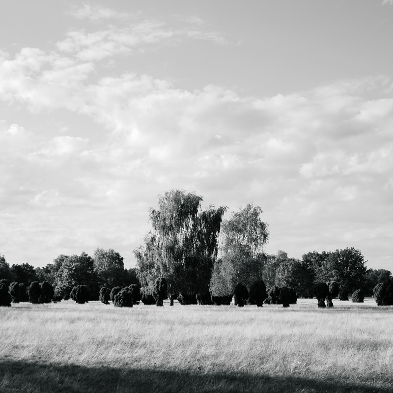 Bild: 10_202610161553120